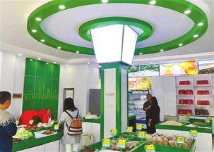 昭通電子商務(wù)產(chǎn)業(yè)健康有序發(fā)展