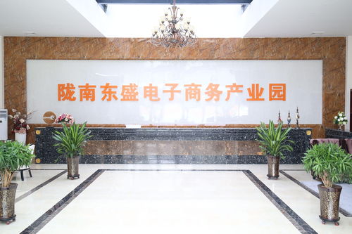 隴南東盛農(nóng)產(chǎn)品電子商務(wù)